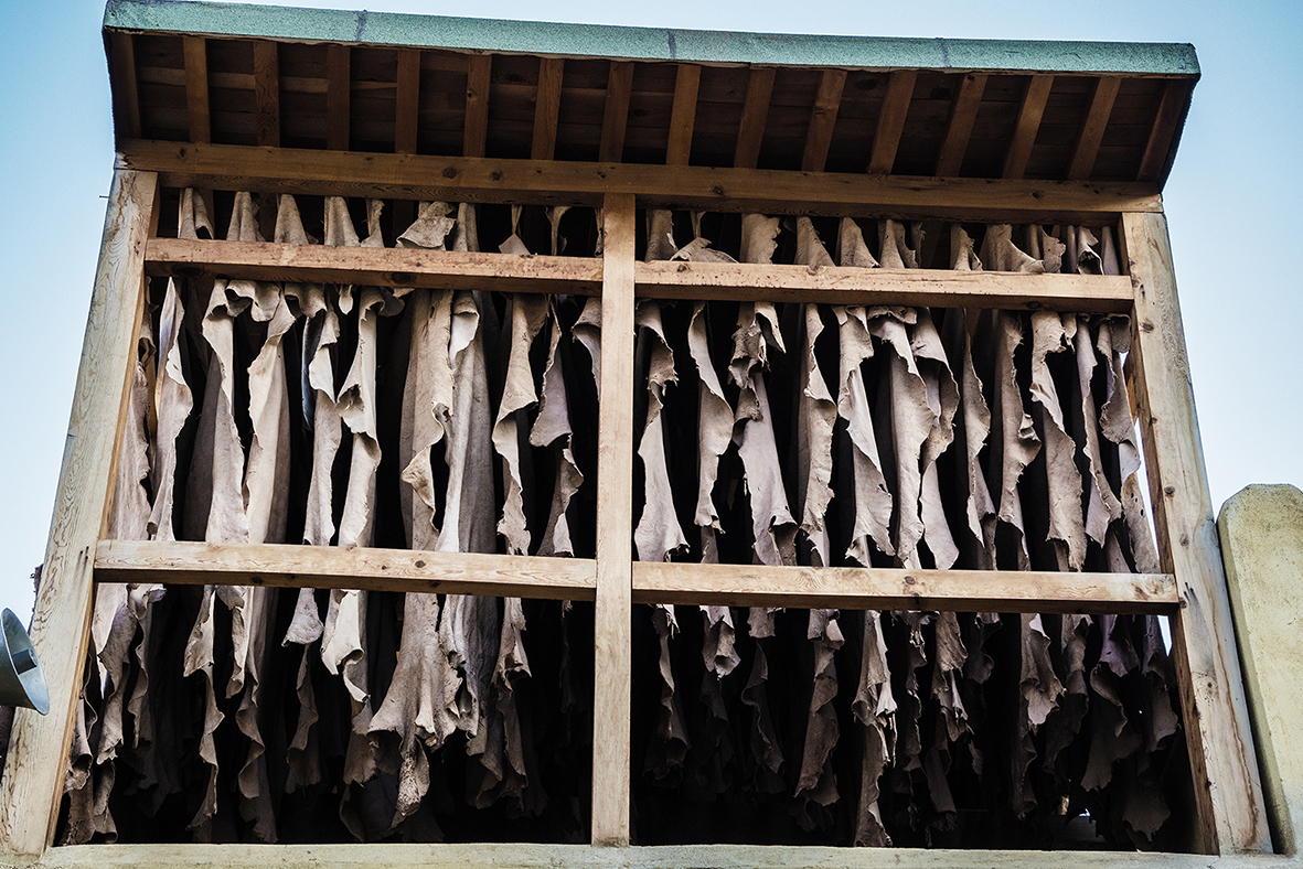 Understanding the Threats of Chinese Leather Processing and Products